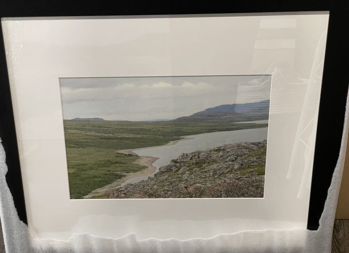 Summer in the Arctic